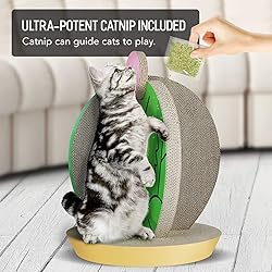 FluffyDream Cat Condo Scratcher Post
