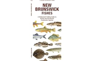 New Brunswick Fishes