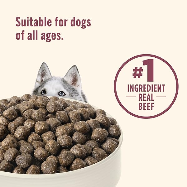 NUTRISH HIGH PROTEIN BEEF, POTATO & PEAS RECIPE WITH VENISON & LAMB DRY DOG FOOD, 4 LB. BAG, PACKAGING MAY VARY (RACHAEL RAY)