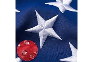 AGUIFLGS American Flag 4x6 Ft Deluxe Water Resistant Series Made From Heavy Duty Super Tough Spun Polyester/Embroidered Stars/Sewn Stripes/Brass Grommets,US Flags Perfect for Outside