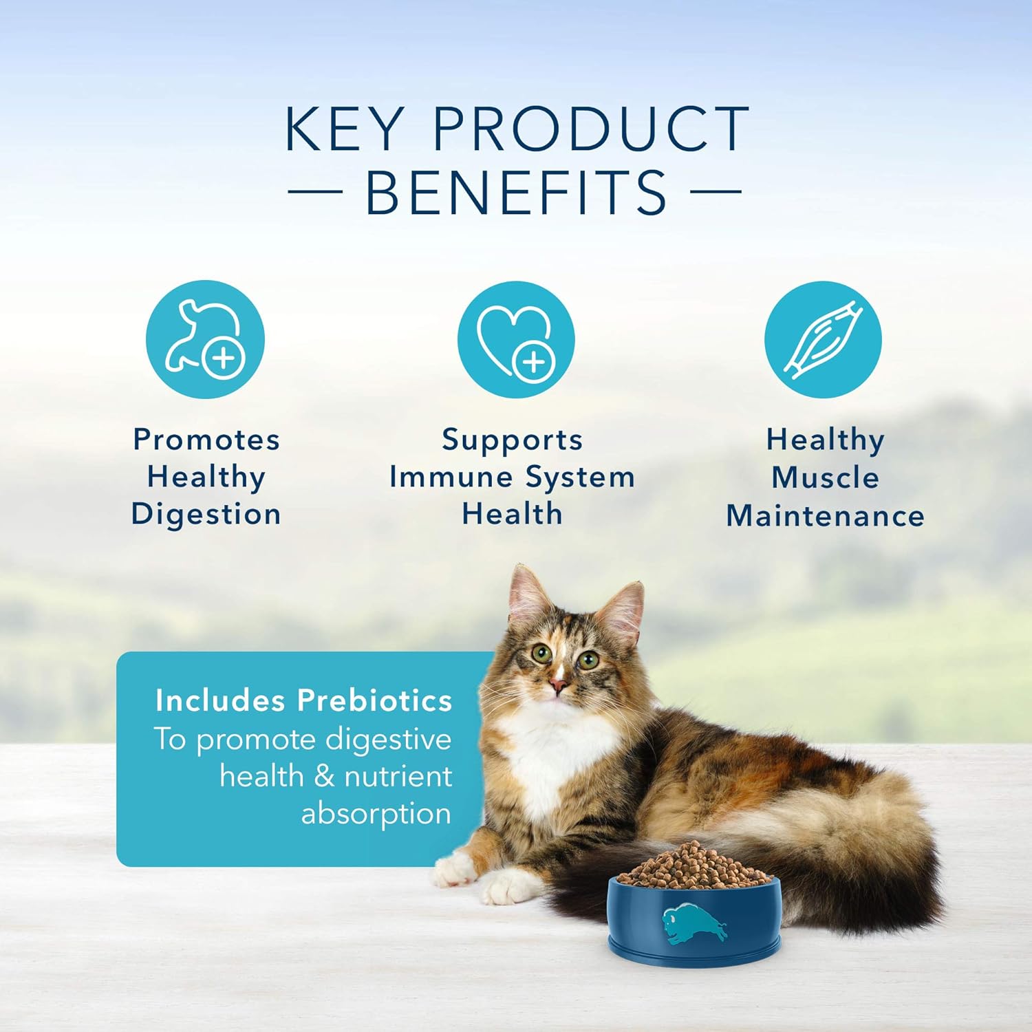 Blue Buffalo for Cats Sensitive Stomach Adult Dry Cat Food, Chicken & Brown Rice 15-lb (601) : Dry Pet Food : Pet Supplies