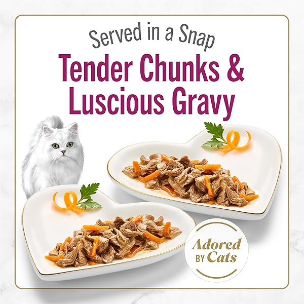 PURINA FANCY FEAST PETITES TENDER BEEF ENTREE WITH CARROTS IN GRAVY GOURMET WET CAT FOOD – (PACK OF 12) 2.8 OZ. TUBS