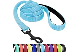 CollarDirect Nylon Dog Leash 5ft for Daily Outdoor Walking Running Training Heavy Duty Reflective Pet Leashes for Large, Medi