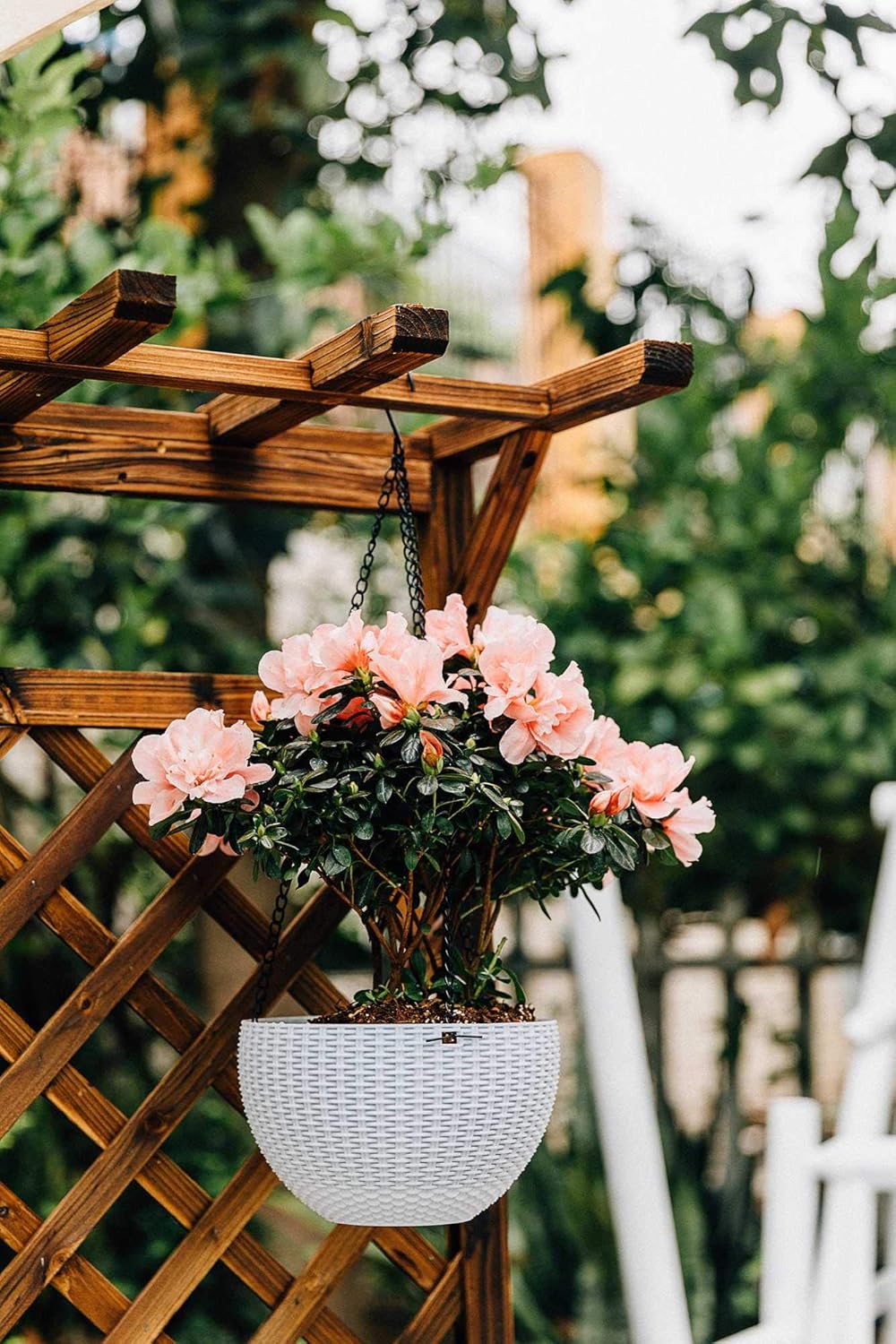 Set Di 4 Cestini Sospesi In Salice Con Fondo E Catena Sospesa | Leroy