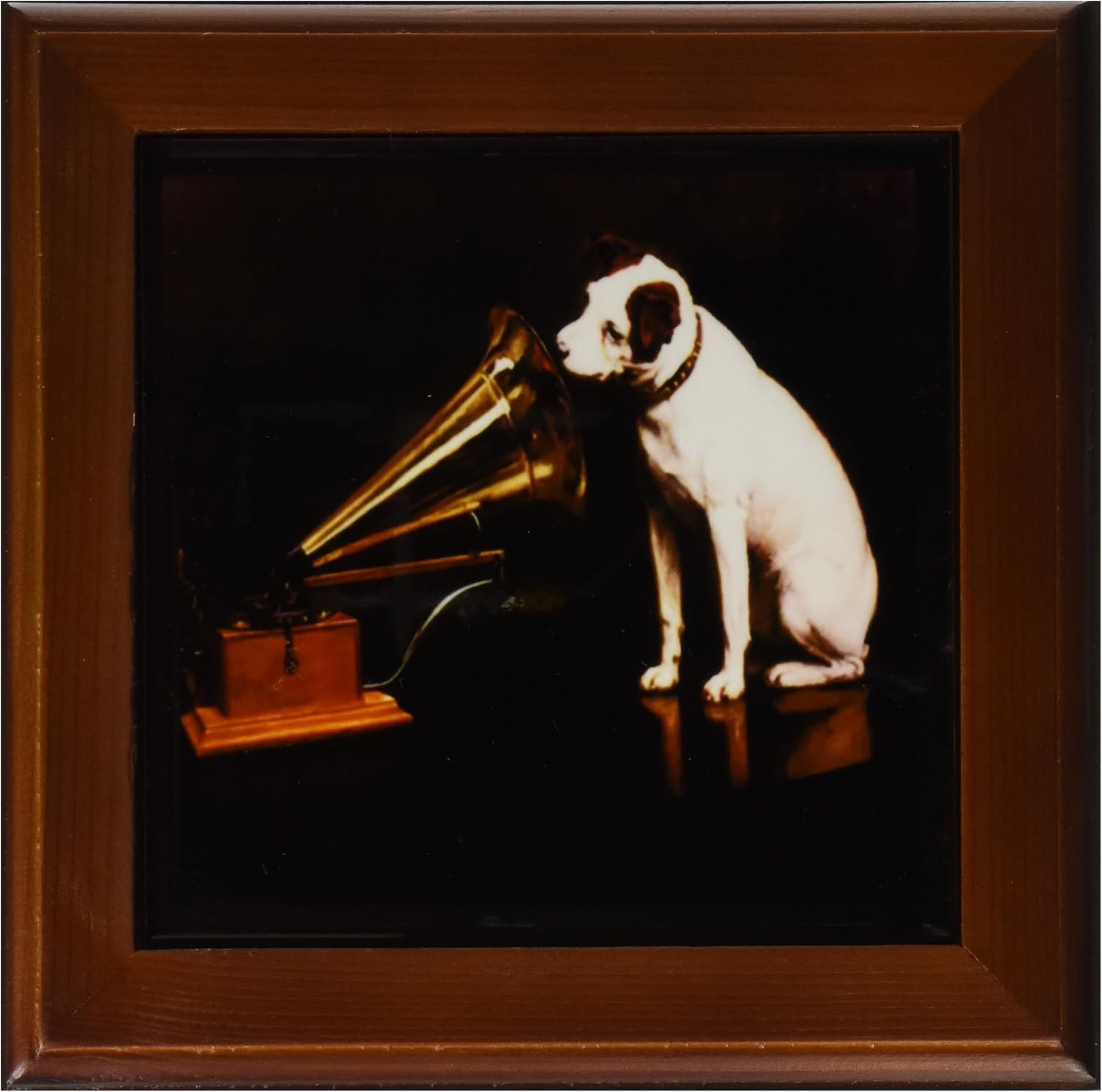 victrola dog