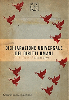 La Carta Delle Nazioni Unite E La Dichiarazione Universale
