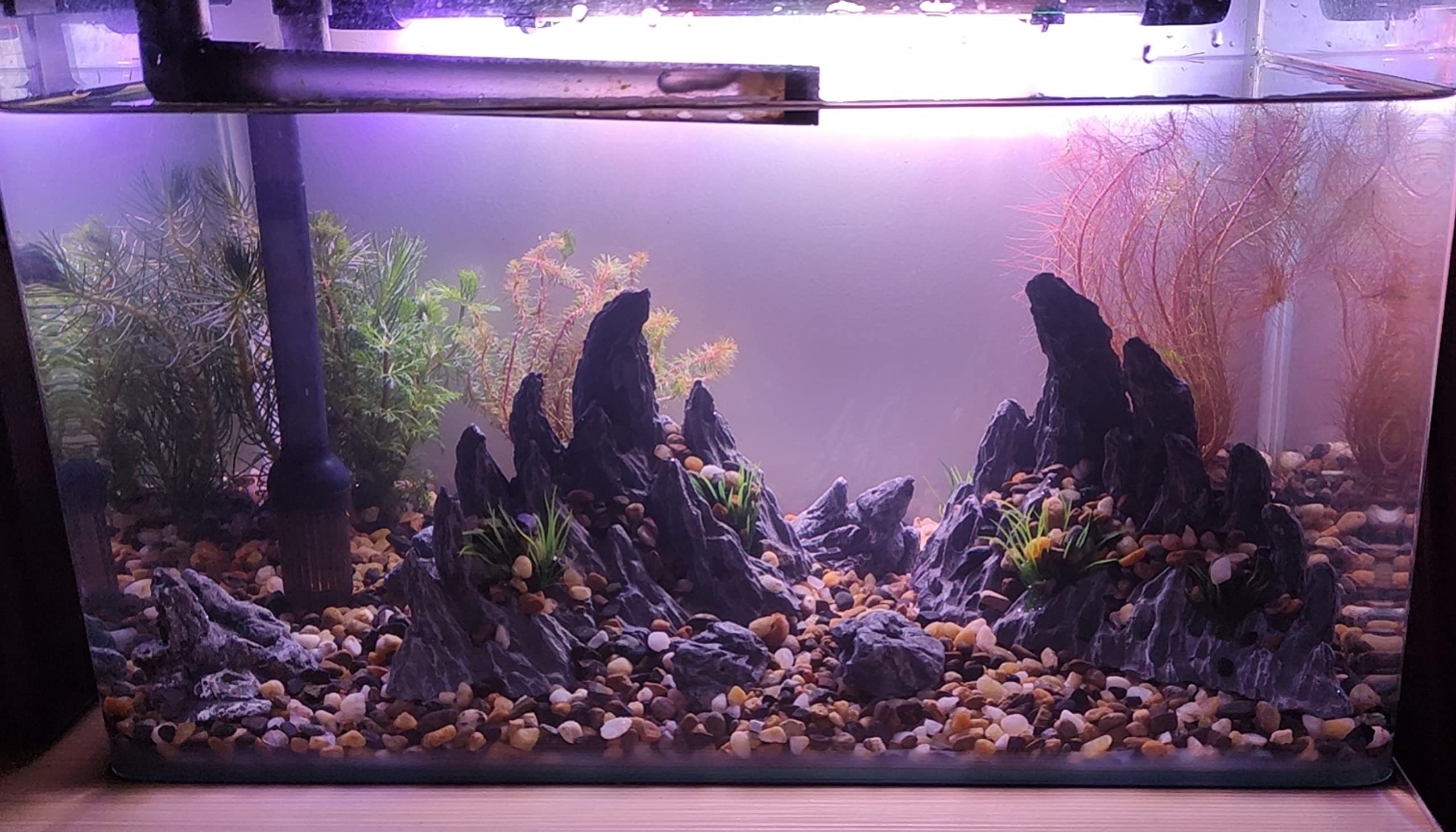 View 3