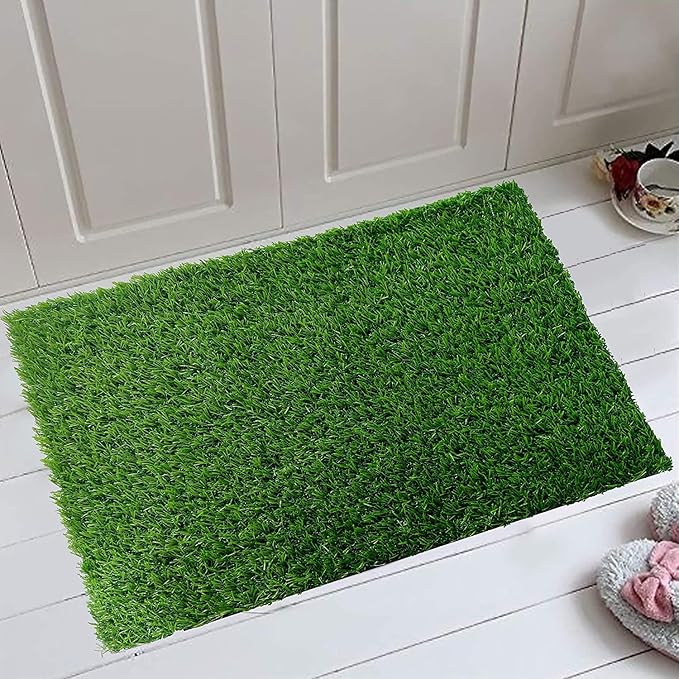 Buy HRIM ENTERPRISE Artificial Grass Door Mat 1 Piece (55 x 37 cm) Anti