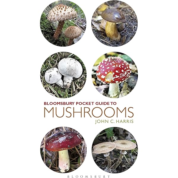 Collins Fungi Guide: Stefan Buczacki . Chris Shields . Denys