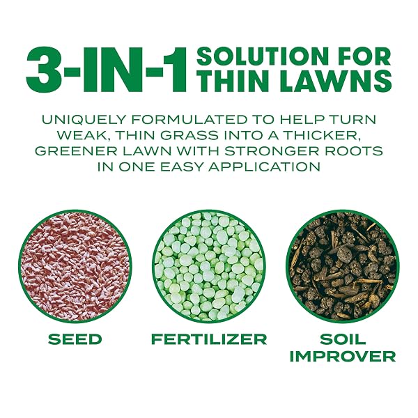 SCOTTS TURF BUILDER THICK’R LAWN BERMUDAGRASS – COVERS 1,200 SQ. FT., COMBINATION SEED, FERTILIZER AND SOIL IMPROVER, FILL AND REPAIR GAPS IN THIN LAWNS AND ENHANCE ROOT DEVELOPMENT, 12 LB.