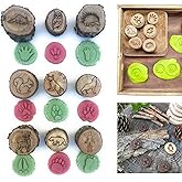 9 Pcs Forest Animal Footprint Stamps Creative Animal Footprint Decorative Stamps Wooden Tracks Stamp Kit Creative Wooden Craf