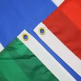 AZ FLAG Gambia Flag 3x5 ft 150x90 cm fade resistant 100D polyester view 2