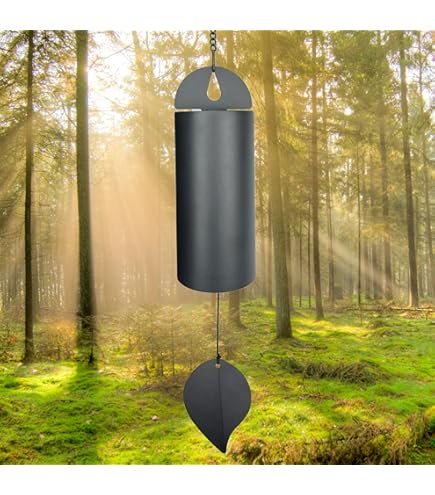 Amazon.com : Carson 36