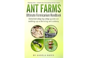 Ant Farms: Ultimate Formicarium Handbook
