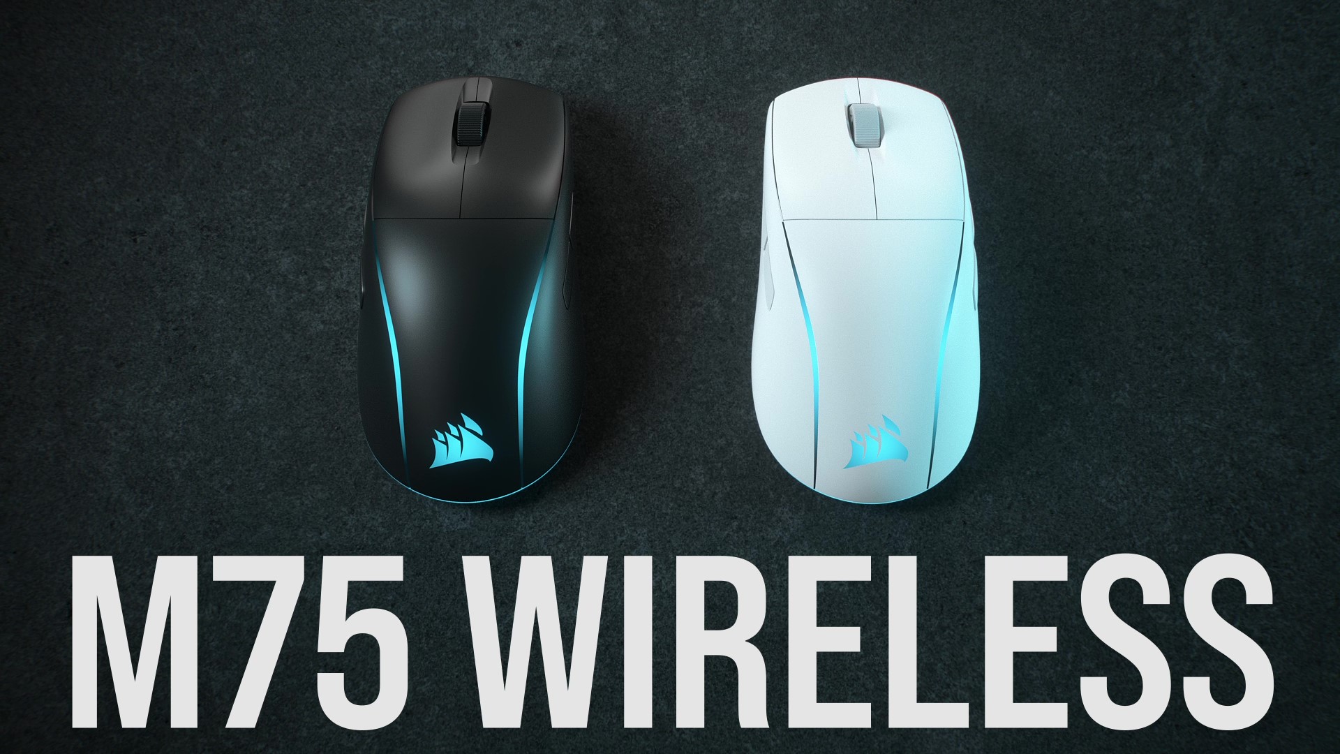 Thumbnail 23