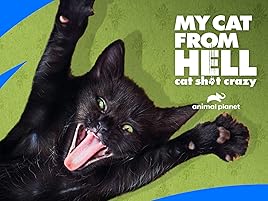 cat from hell full episodes