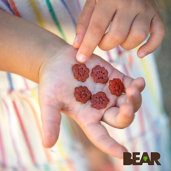 BEAR FRUIT SNACK MINIS – BITE-SIZED SNACKS FOR KIDS – GLUTEN FREE, VEGAN, NON-GMO – STRAWBERRY 0.7OZ (1 COUNT)