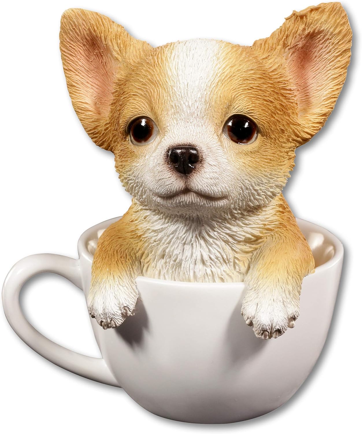 cute chihuahua puppies