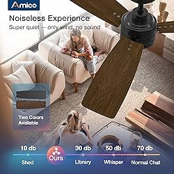 Amico Ceiling Fans with Lights, 52 inch Ceiling fan