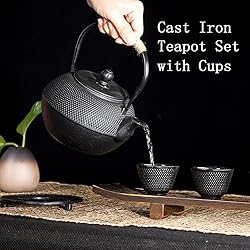 Cast Iron Tea Pot Set, Japanese Tetsubin Tea Kettle