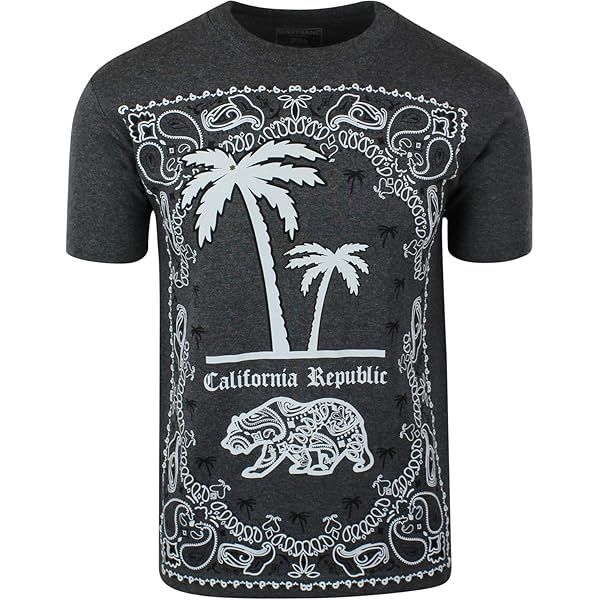 California República Boxy Flowy Camisetas Vintage Costa Rica