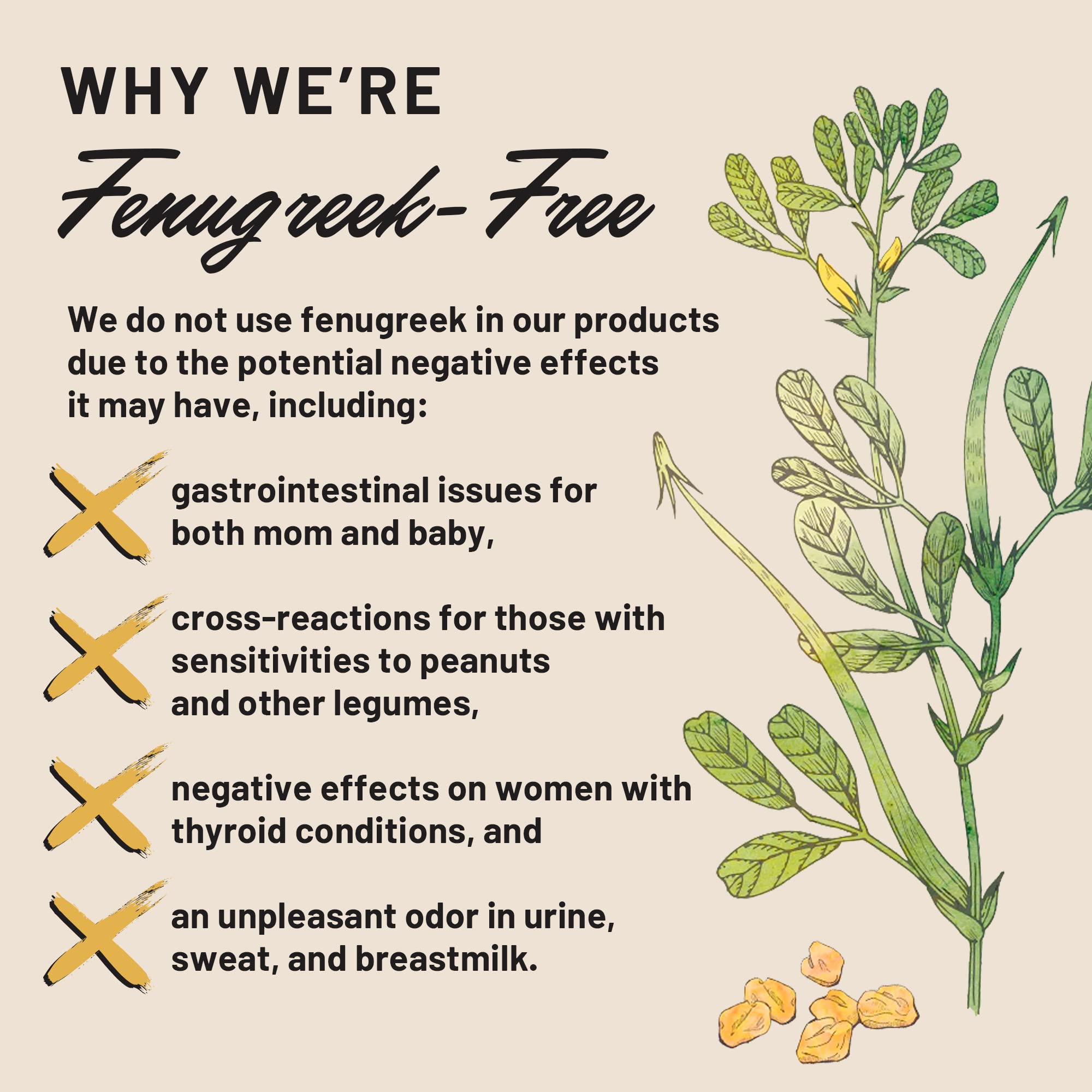 Legendairy Milk Lechita, Supports Milk Flow, Organic Fenugreek Free Breastfeeding Supplement, Organic Fennel & Anise, Made in USA, 60 Vegan Capsules