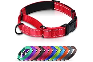 Erbine Neoprene Padded Martingale Collar for Dogs, Reflective Soft Nylon with Quick Release Buckle, Adjustable Dog Martingale Collars for Training & Daily Use (Red,S)