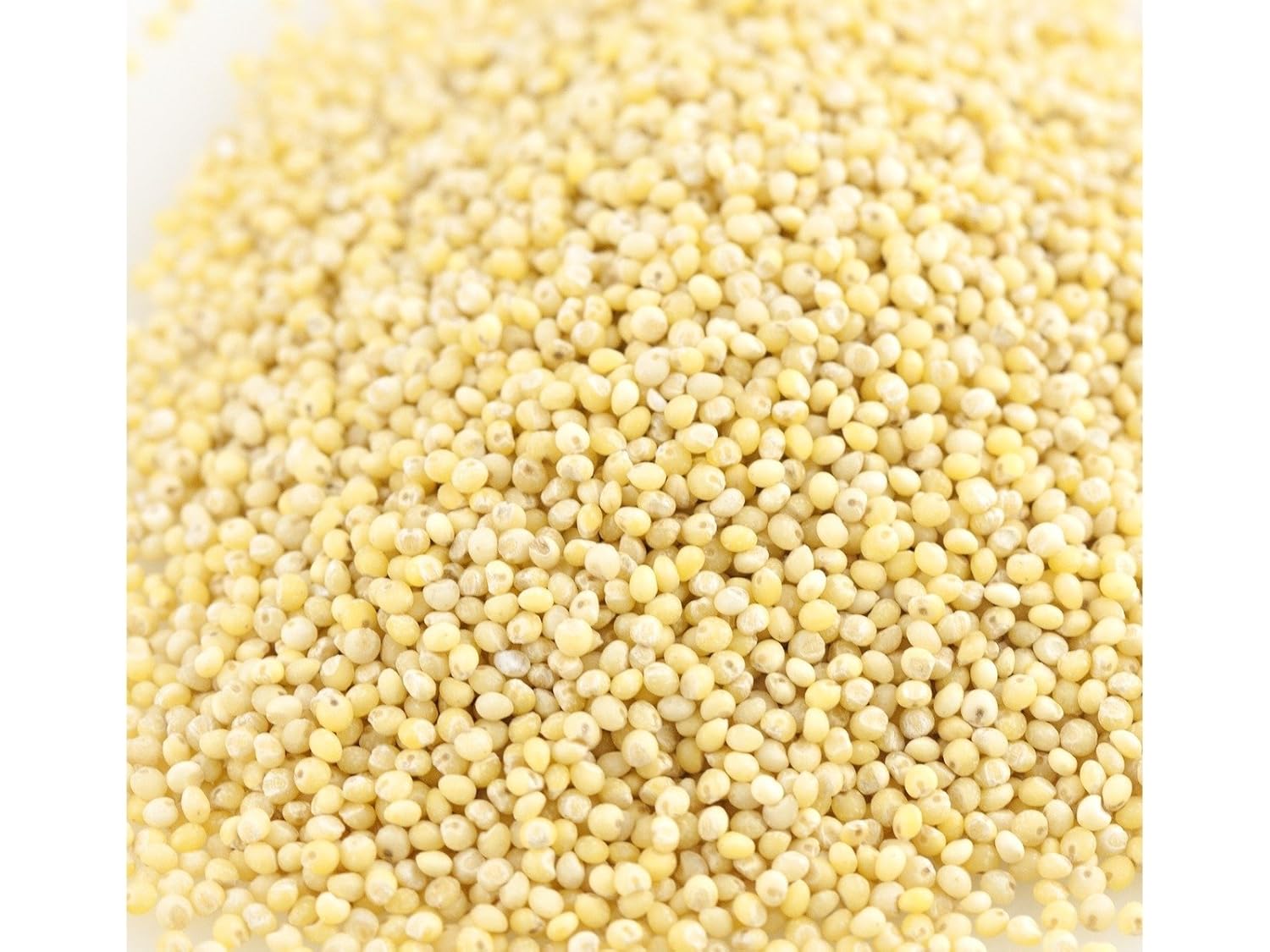 Millet, Hulled, Organic, 25 Bulk Grains Grocery