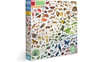 eeBoo: Piece and Love A Rainbow World 1000 Piece Square Adult Jigsaw Puzzle, Puzzle for Adults and Families, Glossy, Sturdy Pieces and Minimal Puzzle Dust