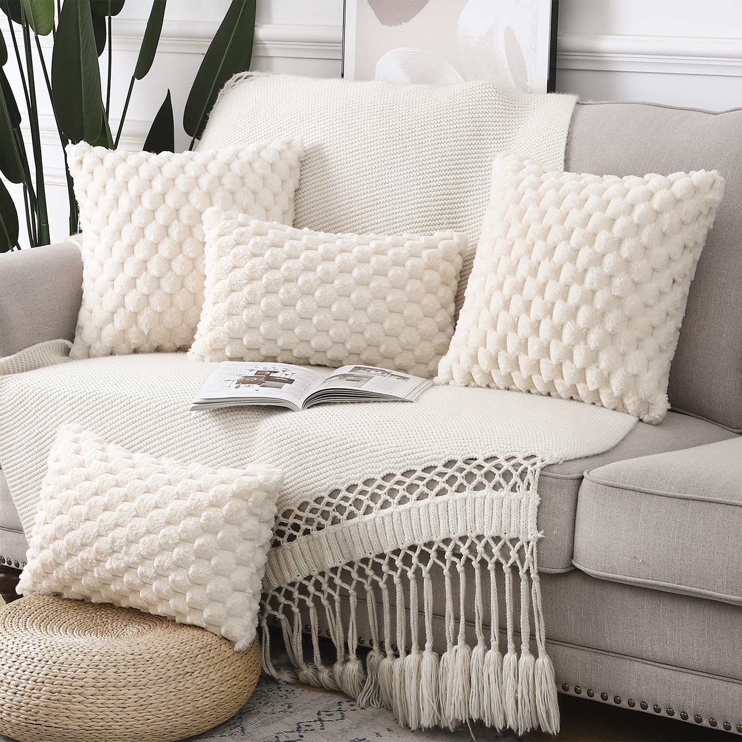 View 5