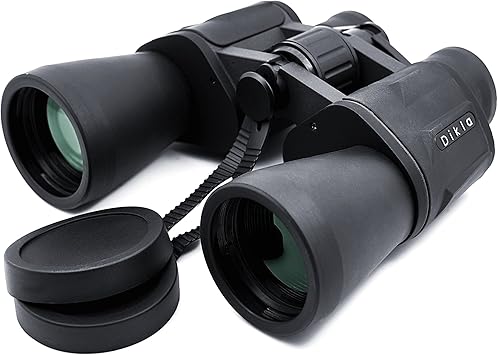 compact 10x50 binoculars