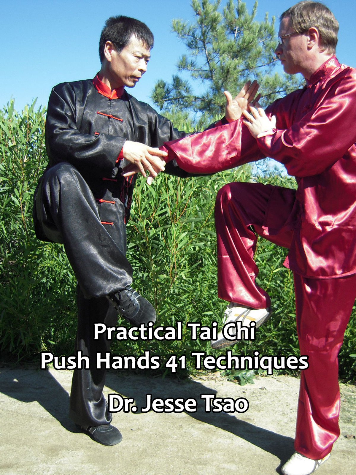 Watch Practical Tai Chi Push Hands 41 Techniques Prime Video