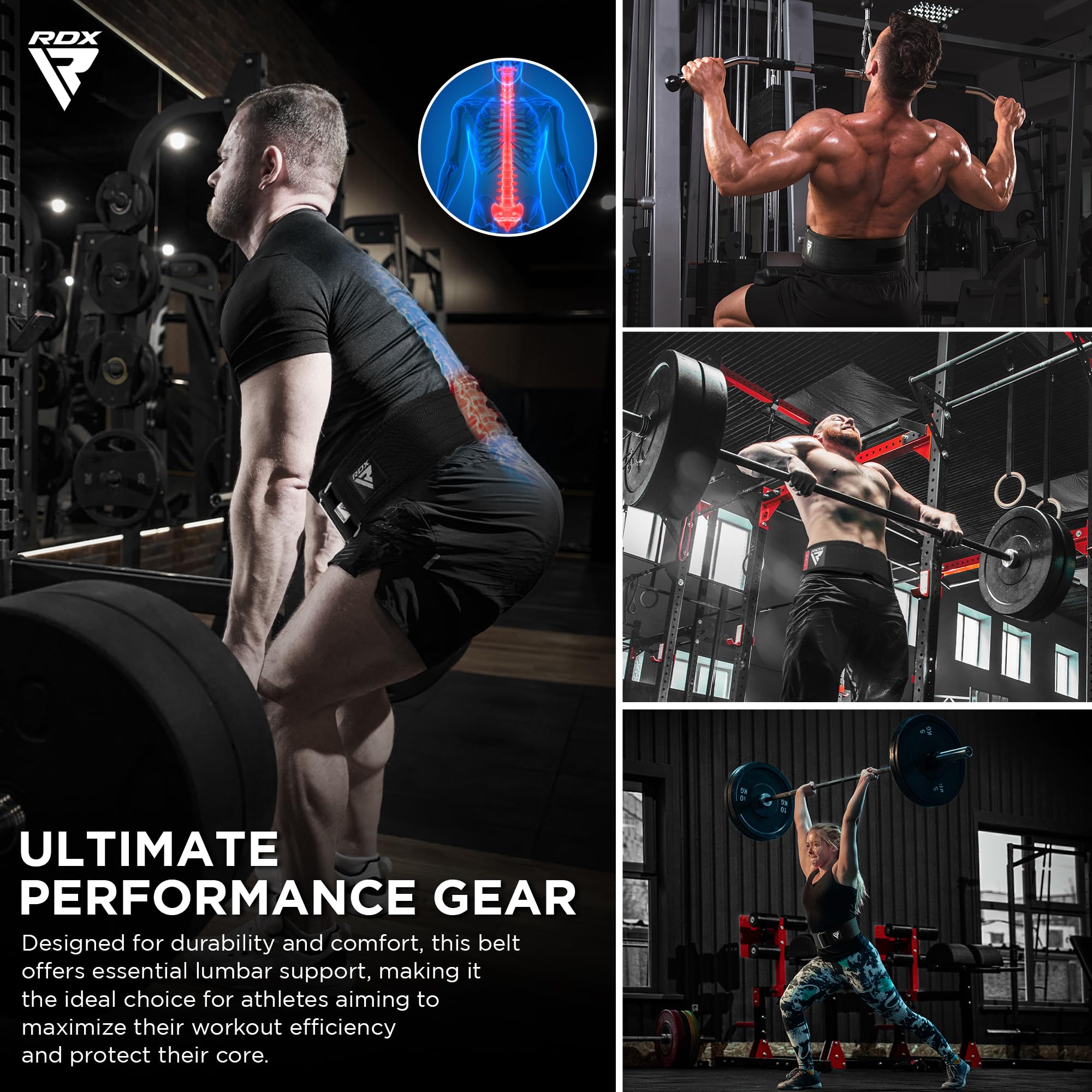 RDX Weight Lifting Belt - AUTO LOCK 4” Premium Adjustable Gym for...