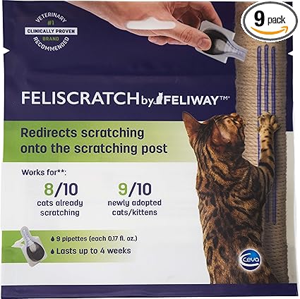 colorful freshwater angelfish