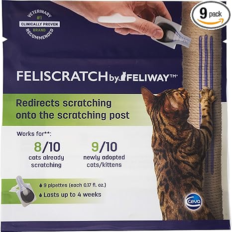 designer puppies near me