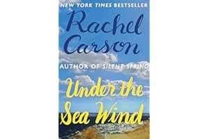 Under the Sea Wind