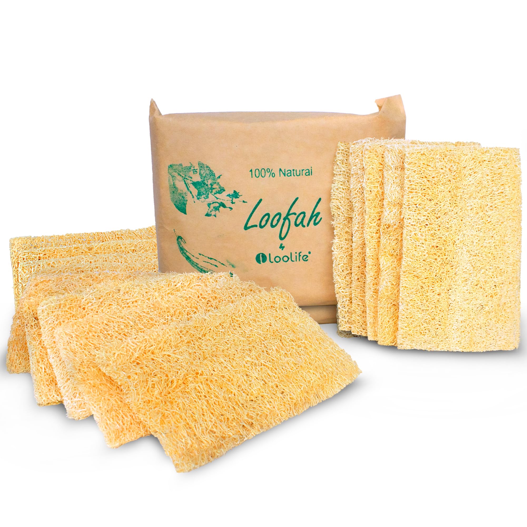 Photo 1 of Natural Loofah Kitchen Sponge (XL - 10 Pack) - Natural Sponges for Dishes - Eco Friendly and Compostable Sponges - Plant Based Kitchen Dish Biodegradable Sponge