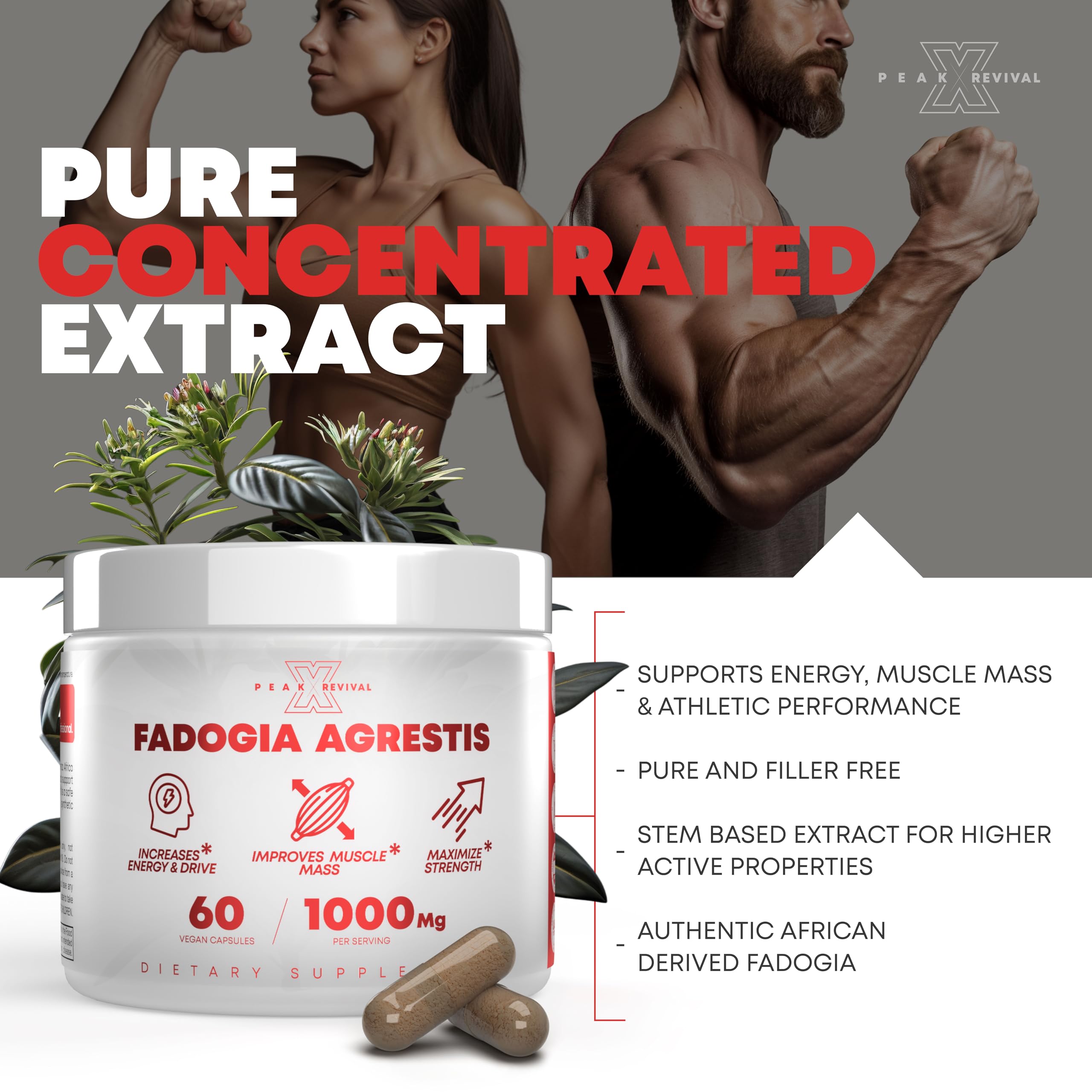 Fadogia Agrestis 1000mg Per Serving Supplement - Potent Extract to Increase Energy, Athletic Performance & Muscle Mass - Supplements, Made in The USA (60 Capsules)