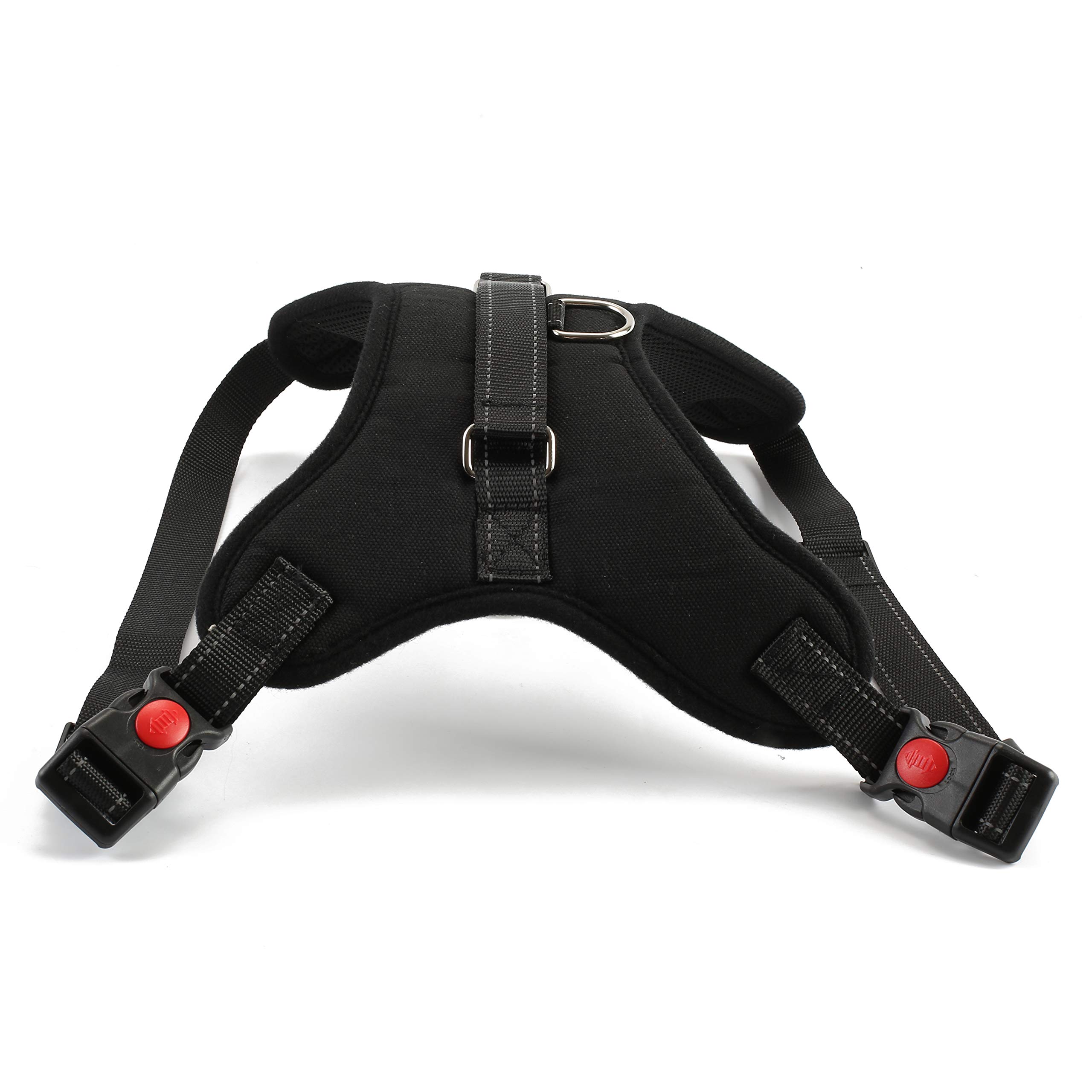 SKEIDO Catch the Mouse Motion Chase Toy For Cat and Kittens Funny Catch The Motion Mouse Cat Toy Pet