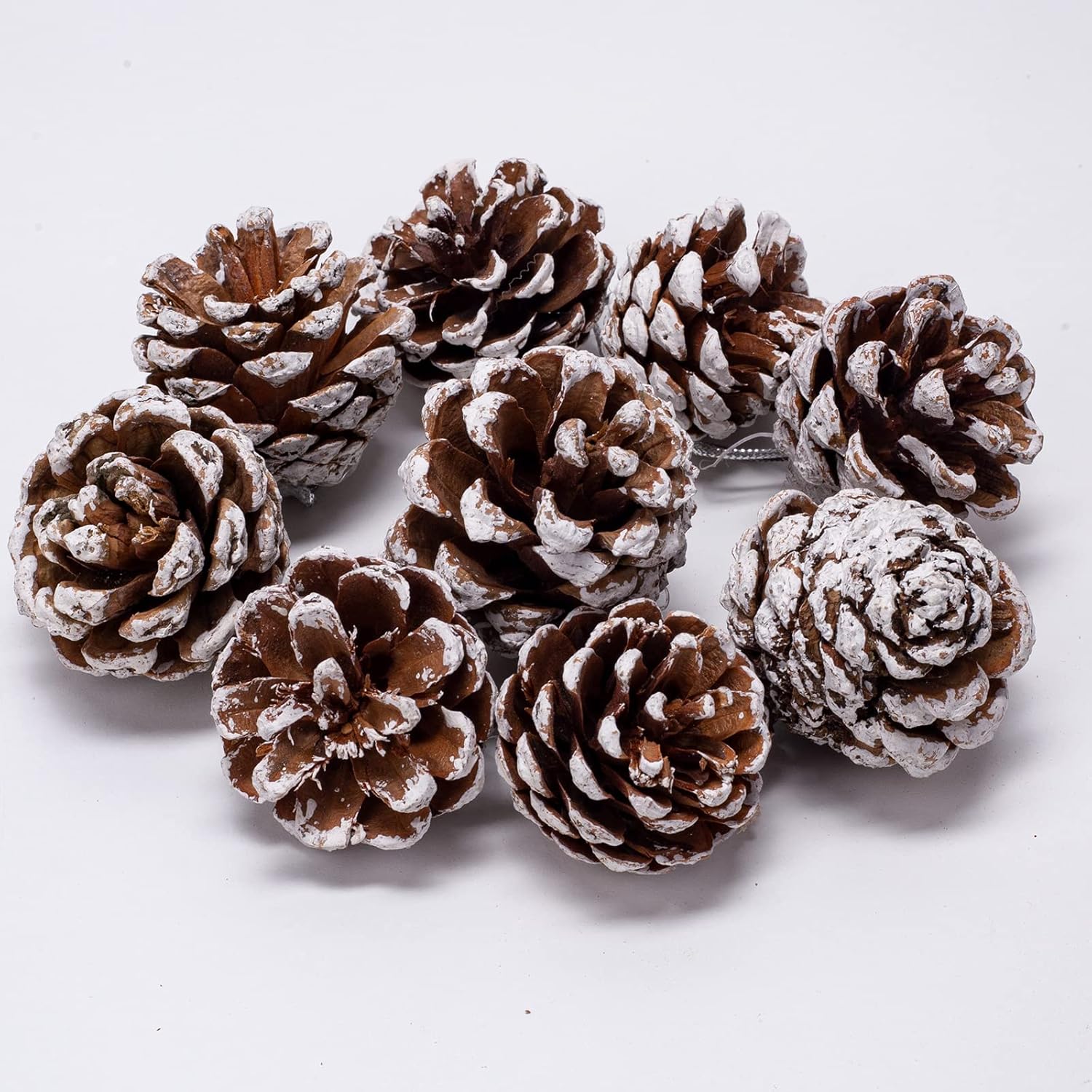 Vase Fillers - 24pcs Christmas Pine Cones, Natural Pinecones Ornaments With String, Large Christmas Tree Pine Cones 4-5cm, Snow Pinecones for Christmas Tree, Gift Tag, Garland, Wreaths, Xmas Craft Hanging Decoration