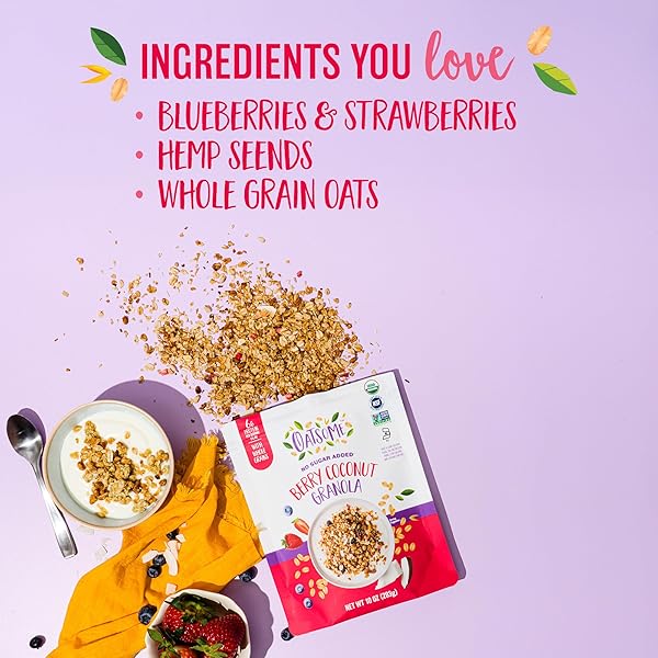 OATSOME BERRY COCONUT GRANOLA, NO SUGAR ADDED, GLUTEN FREE, 6G PROTEIN, MADE WITH WHOLE GRAIN ORGANIC OATS, COCONUT, STRAWBERRIES, BLUEBERRIES, FOR PROTEIN SNACKS CEREALS BREAKFAST YOGURT, 10 OZ BAG