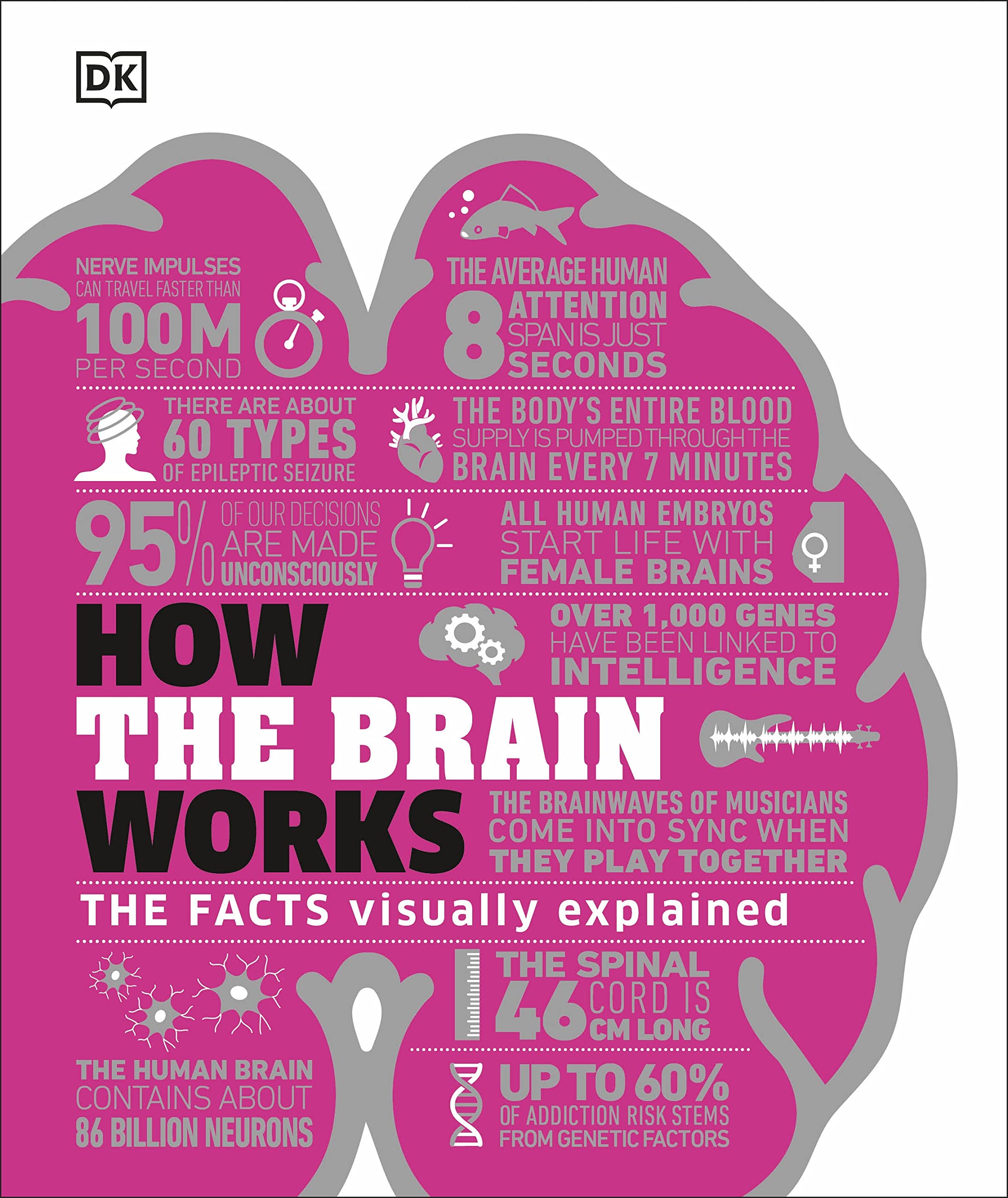 Mua How the Brain Works: The Facts Visually Explained (DK How Stuff ...