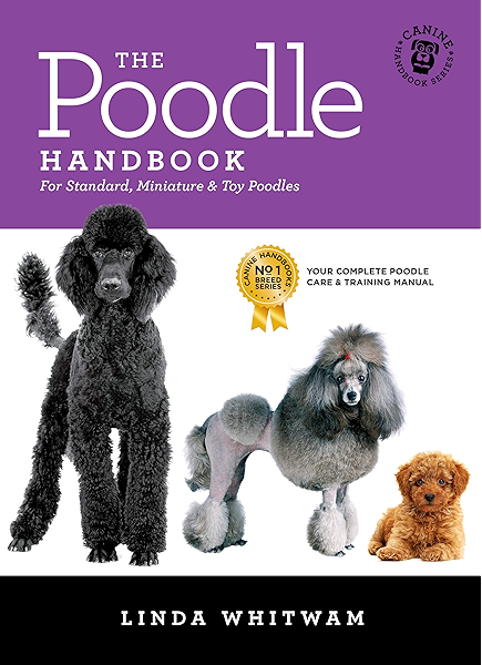 miniature poodle breed standard