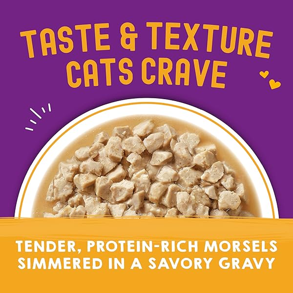 STELLA & CHEWY’S CARNIVORE CRAVINGS MORSELS & GRAVY CHICKEN & BEEF RECIPE WET CAT FOOD POUCHES – (2.8 OUNCE POUCH, CASE OF 12)