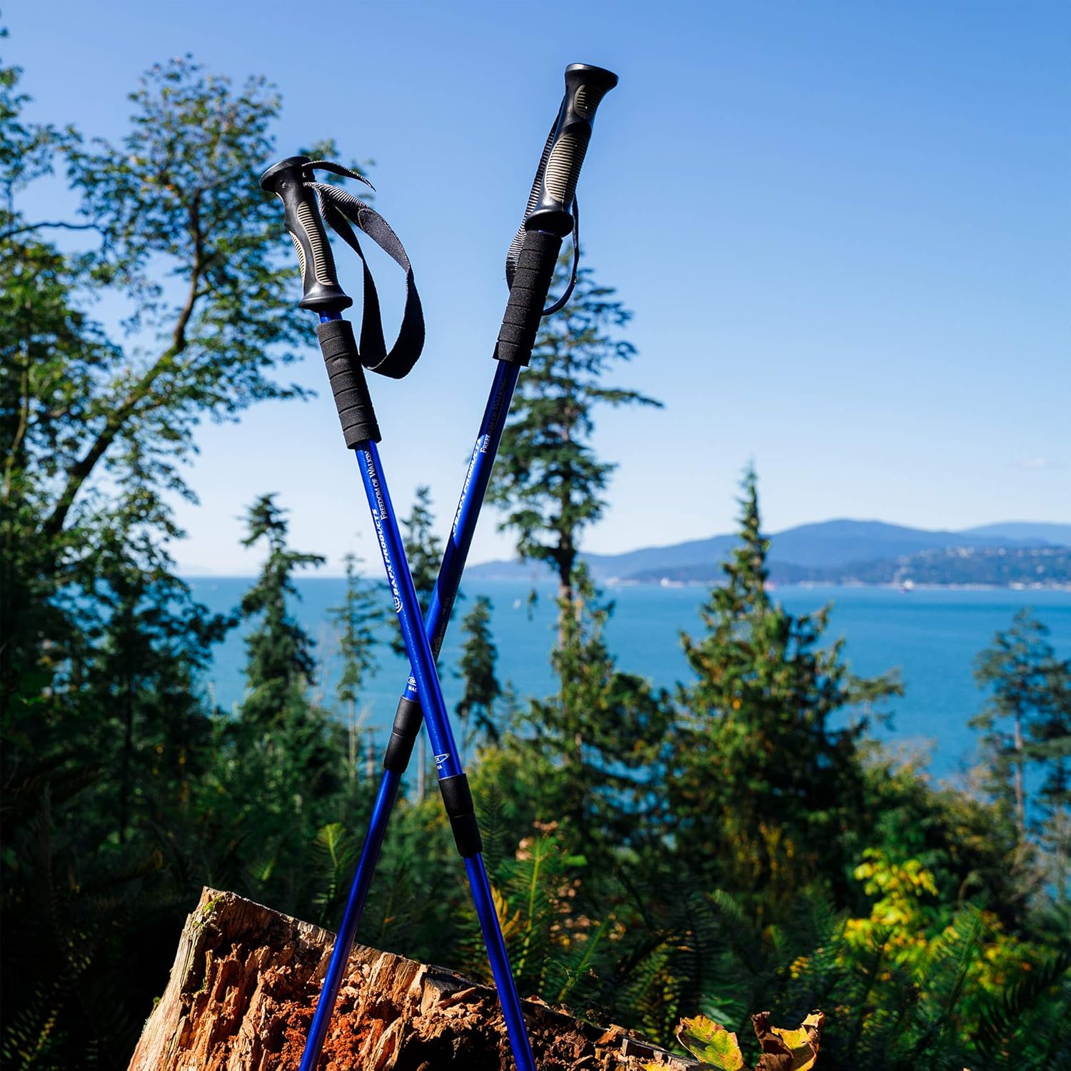 BAFX Products - 2 Pack - Anti Shock Hiking / Walking / Trekking Trail Poles - 1 Pair, Blue, Royal Blue : Sports & Outdoors