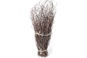 SOUJOY 100 PCS Birch Twigs for Vase, 16 Inch Natural Dried Birch Branches, Craft Decoration Birch Stick for DIY, Centerpieces