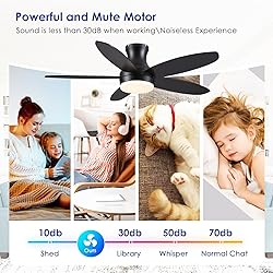 BYKISTOK 48 Inch Ceiling Fan with Light, Black