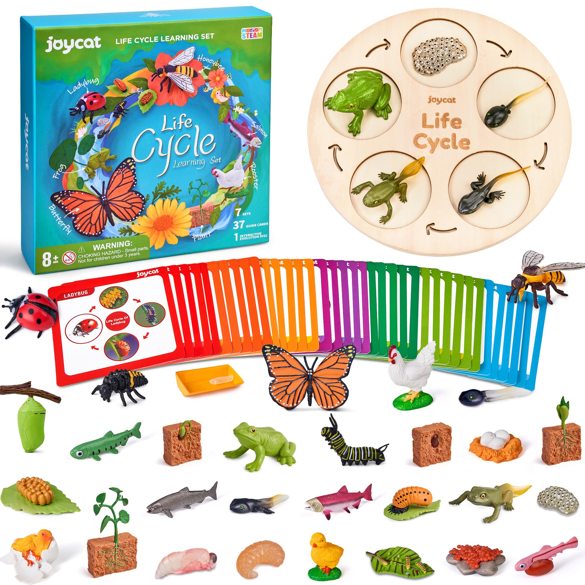 JoyCat Life Cycle Learning Education Toys, Insect Caterpillar to Butterfly kit, Ladybug, Bee, Tadpole to Frog Kit Life Cycle Toys for Kids, Preschool Learning Activities for Kids (Animals and Plant)