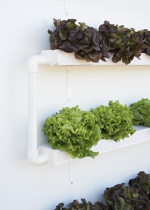 Hidroponía, Huerto Vertical para Cultivo de 16 Plantas, con ...