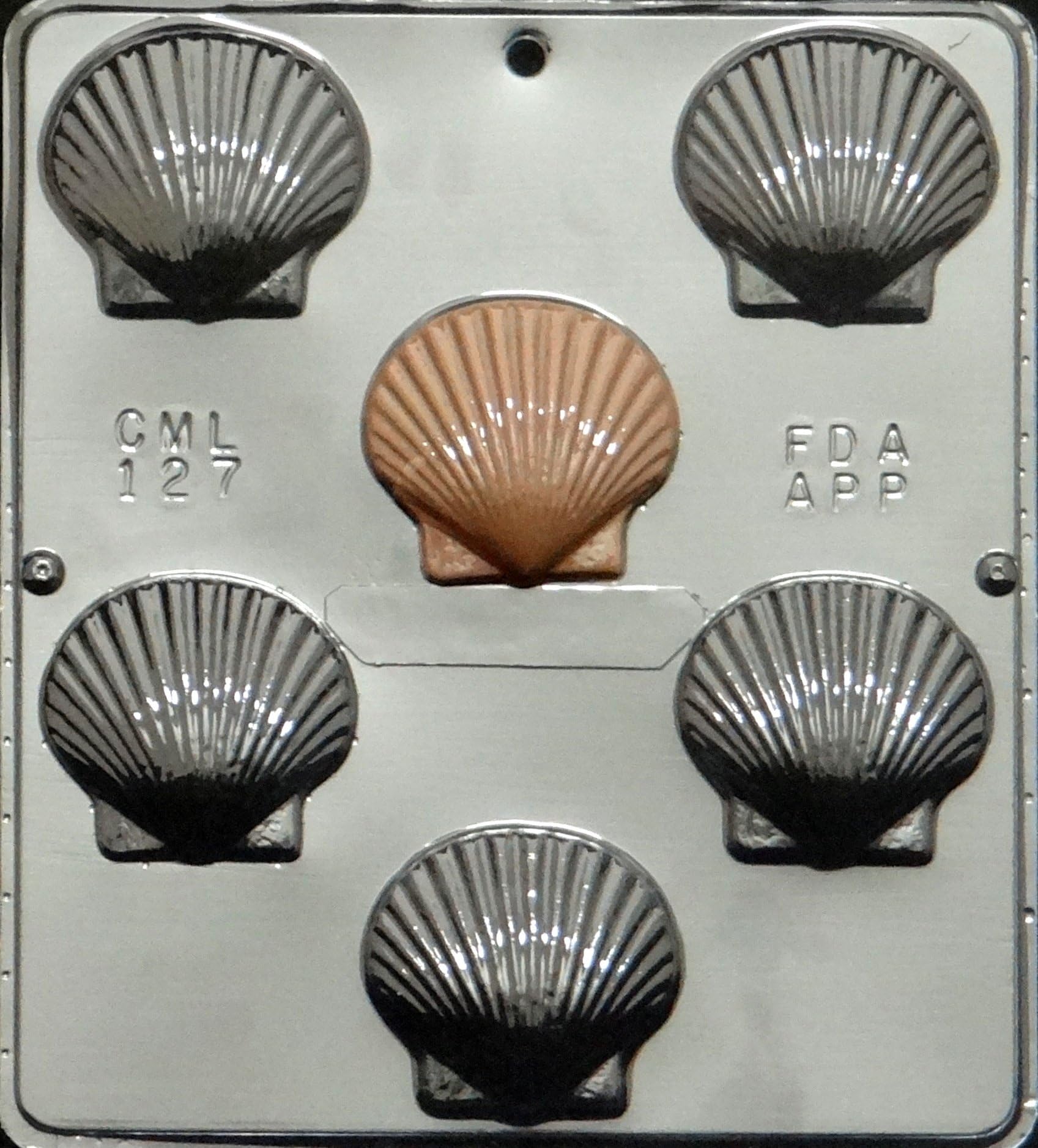 Chocolate Scallop Sea Shell Chocolate Candy Mold Candy Making 127